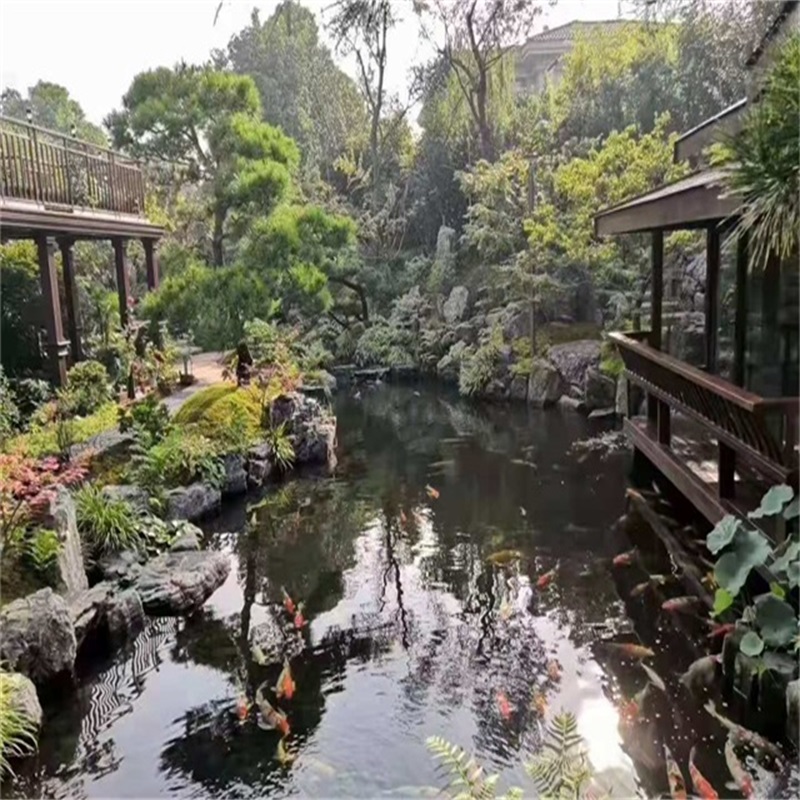 凤城假山植物小鱼池
